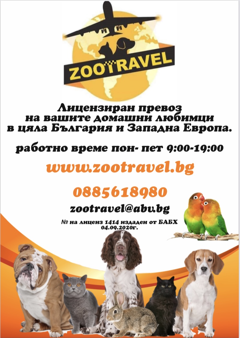 Zootravel 