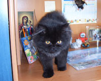 Роксана