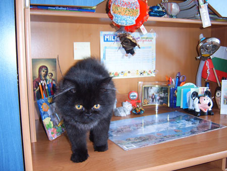 Роксана
