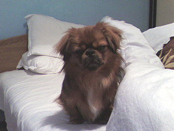 johny