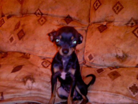 beti
