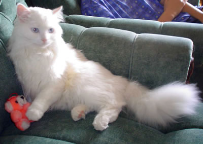 Дмитрий