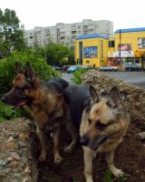 Арес и Клоуи