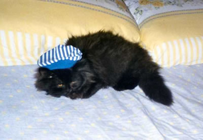 Майкъл Чорни