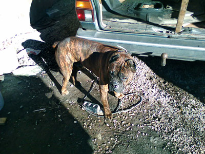 roki