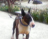 Max
