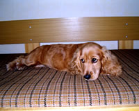 Лорна