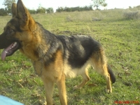 Хера
