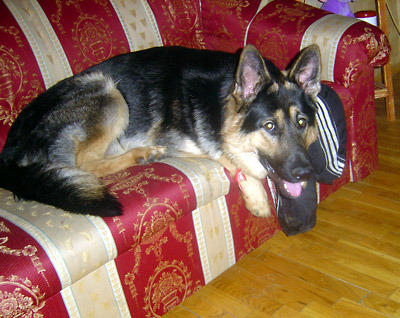 Марк