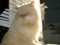marty