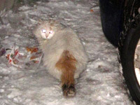 Снежинка