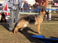 Rita - 0885532099