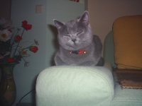 Keti