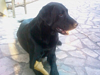 Neron