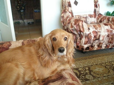 hera