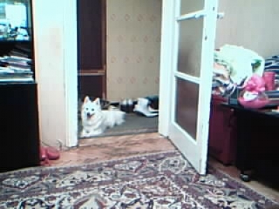 съни