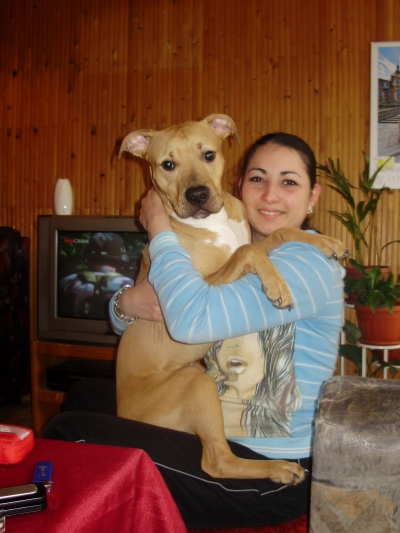 Bruno