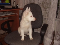 БЪНИ