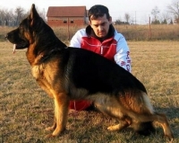 хела