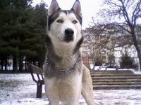 Феликс