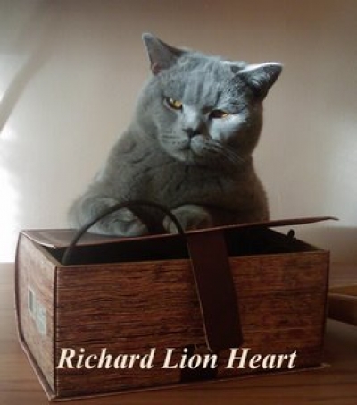 Richard Lion Heart