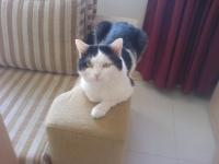 Casey