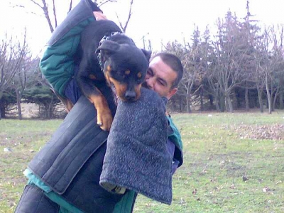 ХОТЕЛ И ОБУЧЕНИЕ НА КУЧЕТА