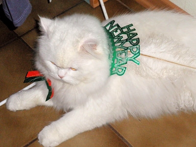 Сноуи (Snowy)