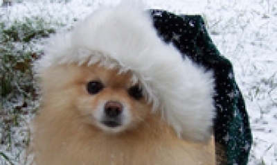 kora