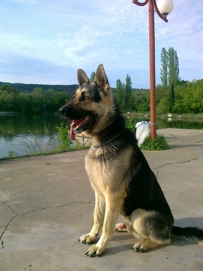 Бари