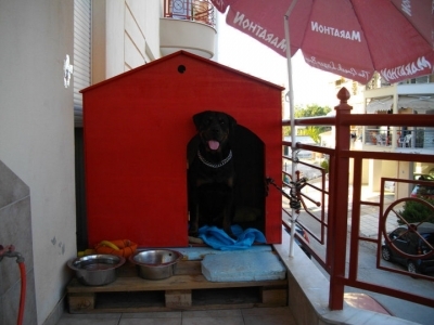 Roro