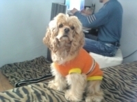 Ashly