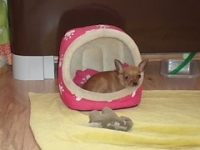 kika