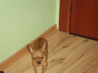 kika