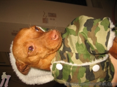 ХЕПИ