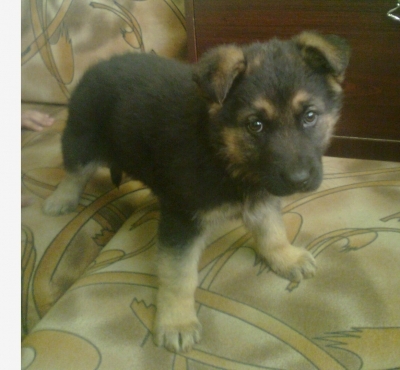 Kiara