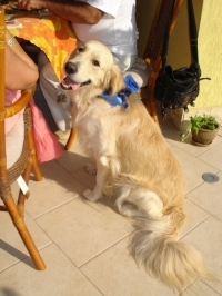 Duke