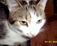 Mimi
