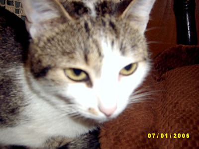 Mimi