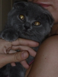 Marmaliuk