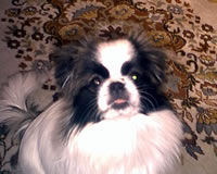 Jackye