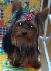 Лиза