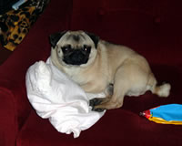 Ralf