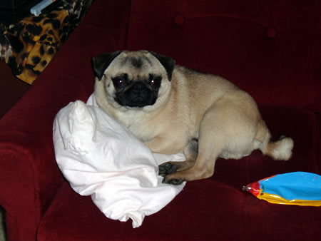 Ralf