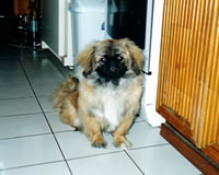 Beri