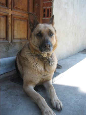 Herra