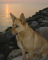 maik