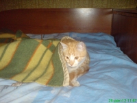 Muki