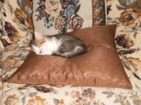 Matsana