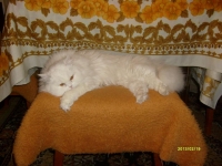 Zuzi